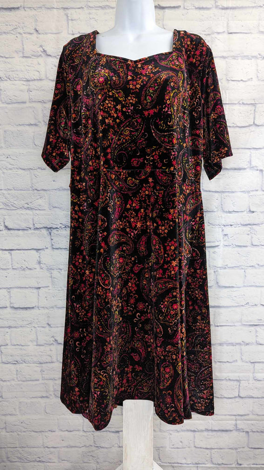 XLARGE BLACK PAISLEY A551017 Isaac Mizrahi Live! Always Isaac Regular Velvet Dress x